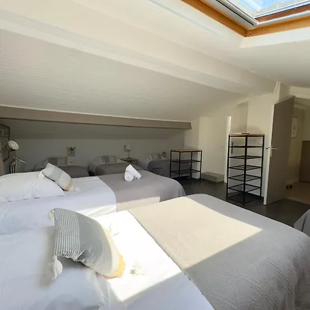 Villaserenita Piscine Chauffee, Jacuzzi, Petanque Villa Ajaccio (Corsica)