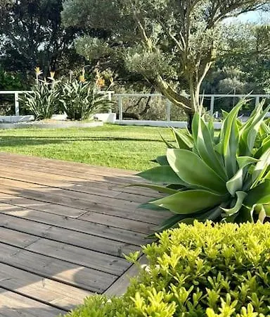 Villa Villaserenita Piscine Chauffee, Jacuzzi, Petanque Ajaccio (Corsica)