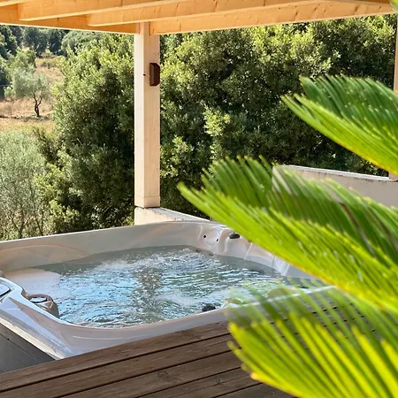 Villaserenita Piscine Chauffee, Jacuzzi, Ping-pong, Petanque Villa Ajaccio (Corsica)